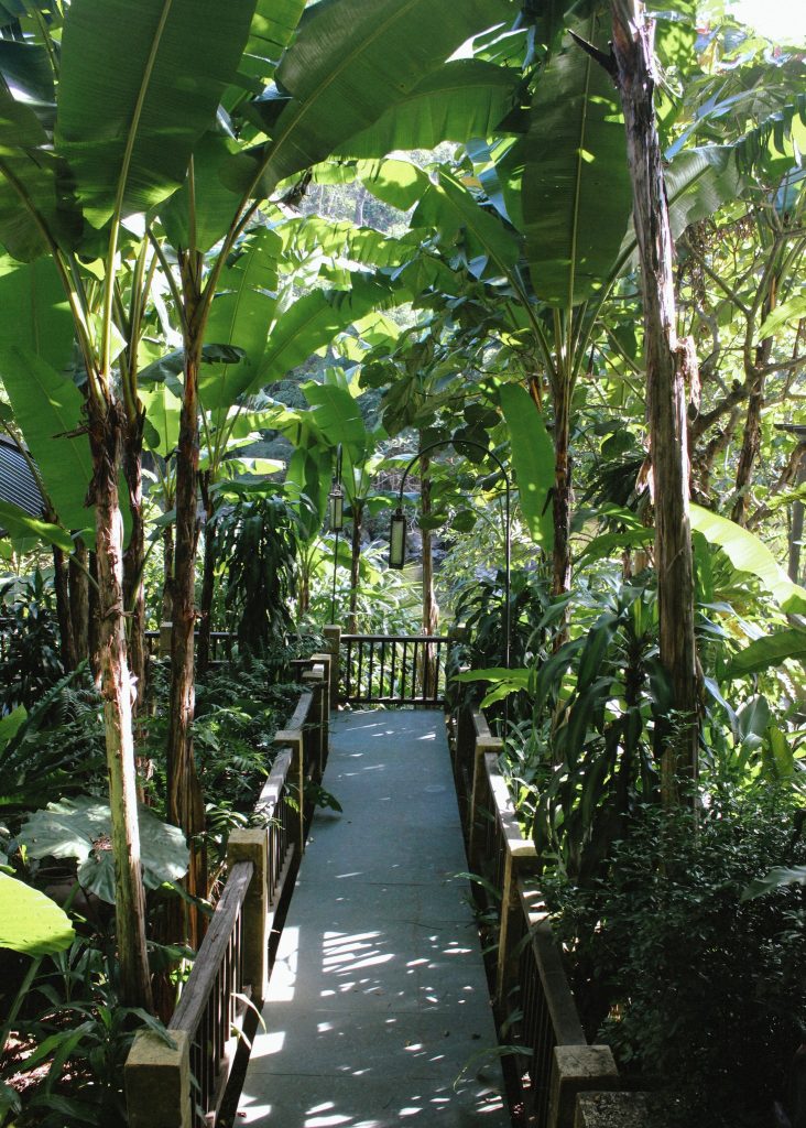 Melia Ba Vi Mountain Retreat.